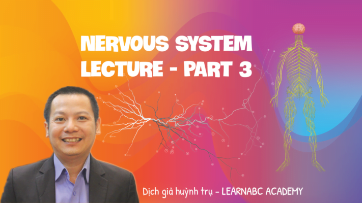 NERVOUS SYSTEM LECTURE MEDICAL ENGLISH PART 3 01