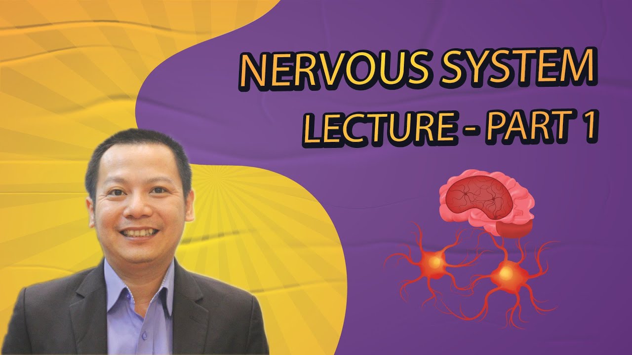 Nervous System Lecture - Part 1 (Free)