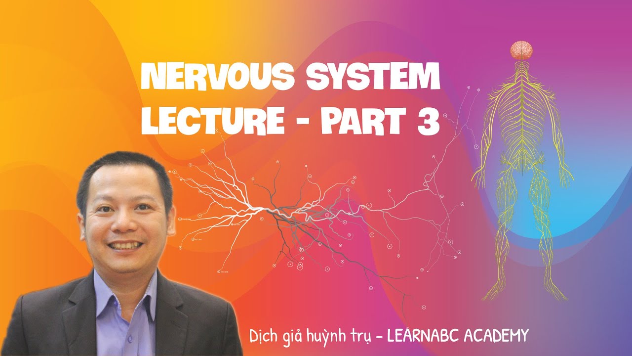 Nervous System Lecture - Part 3 (Free)