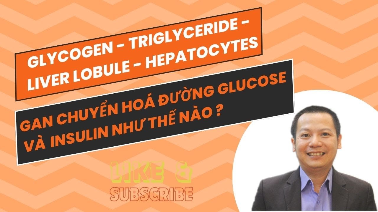 Hieu Ro Quy Trinh Chuyen Hoa Duong Glucose va Insulin Trong Co The