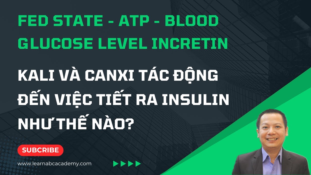 Kali va Canxi Tac Dong Den Viec Tiet Ra Insulin Nhu The Nao