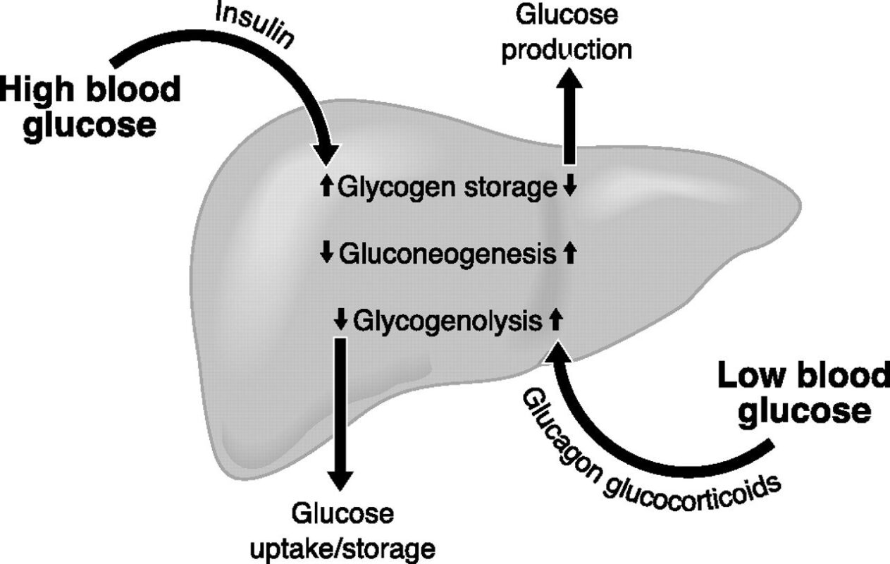 duong glucose