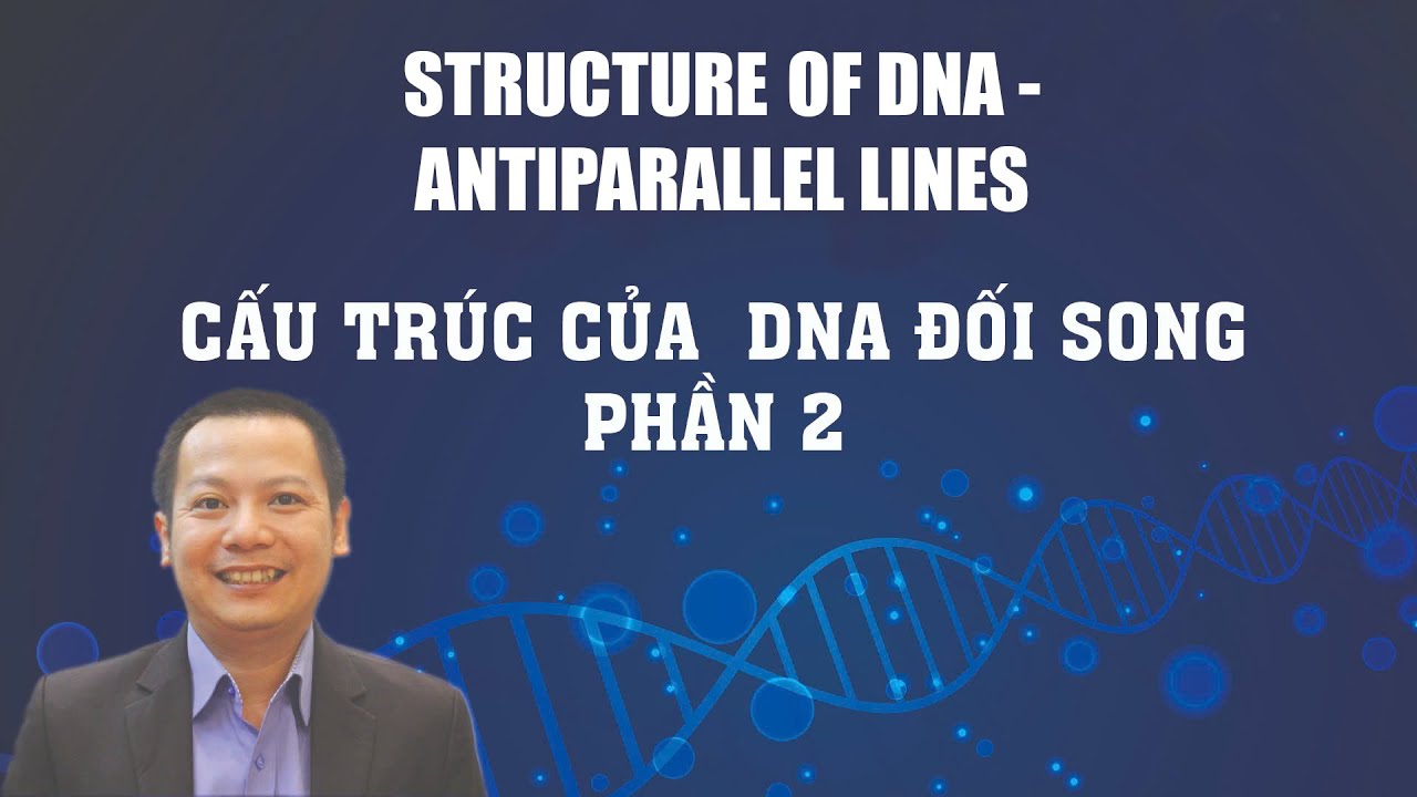 Cau Truc DNA Chuyen Gia Hang Dau Chia Se Bi Mat Ve Cau Truc DNA Phan 2