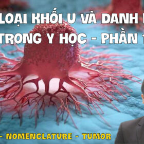 NEOPLASIA NOMENCLATURE TUMOR HIEU VE CAC LOAI KHOI U VA DANH PHAP TRONG Y HOC PHAN 1 01