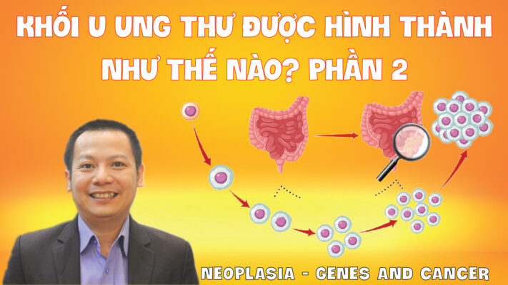 KHOI U UNG THU DUOC HINH THANH NHU THE NAO PHAN 2 01