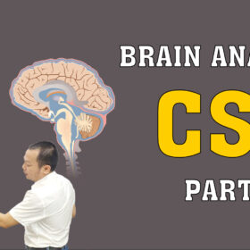 BRAIN ANATOMY CSF PART 1 01