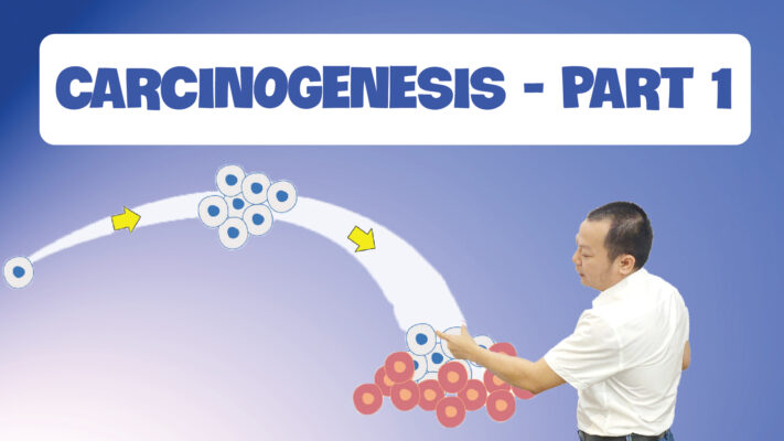 Carcinogenesis Part 1 01