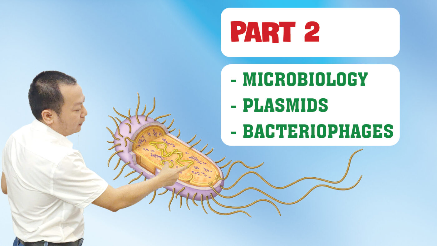 MICROBIOLOGY PLASMIDS BACTERIOPHAGES PART 2 01