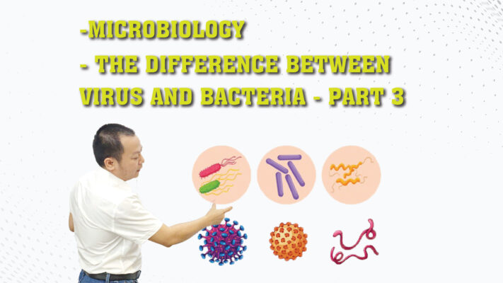 MICROBIOLOGY THE DIFFERENCE BETWEEN VIRUS AND BACTERIA part 3 01