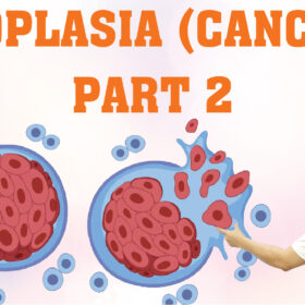 NEOPLASIA CANCER PART 2 01