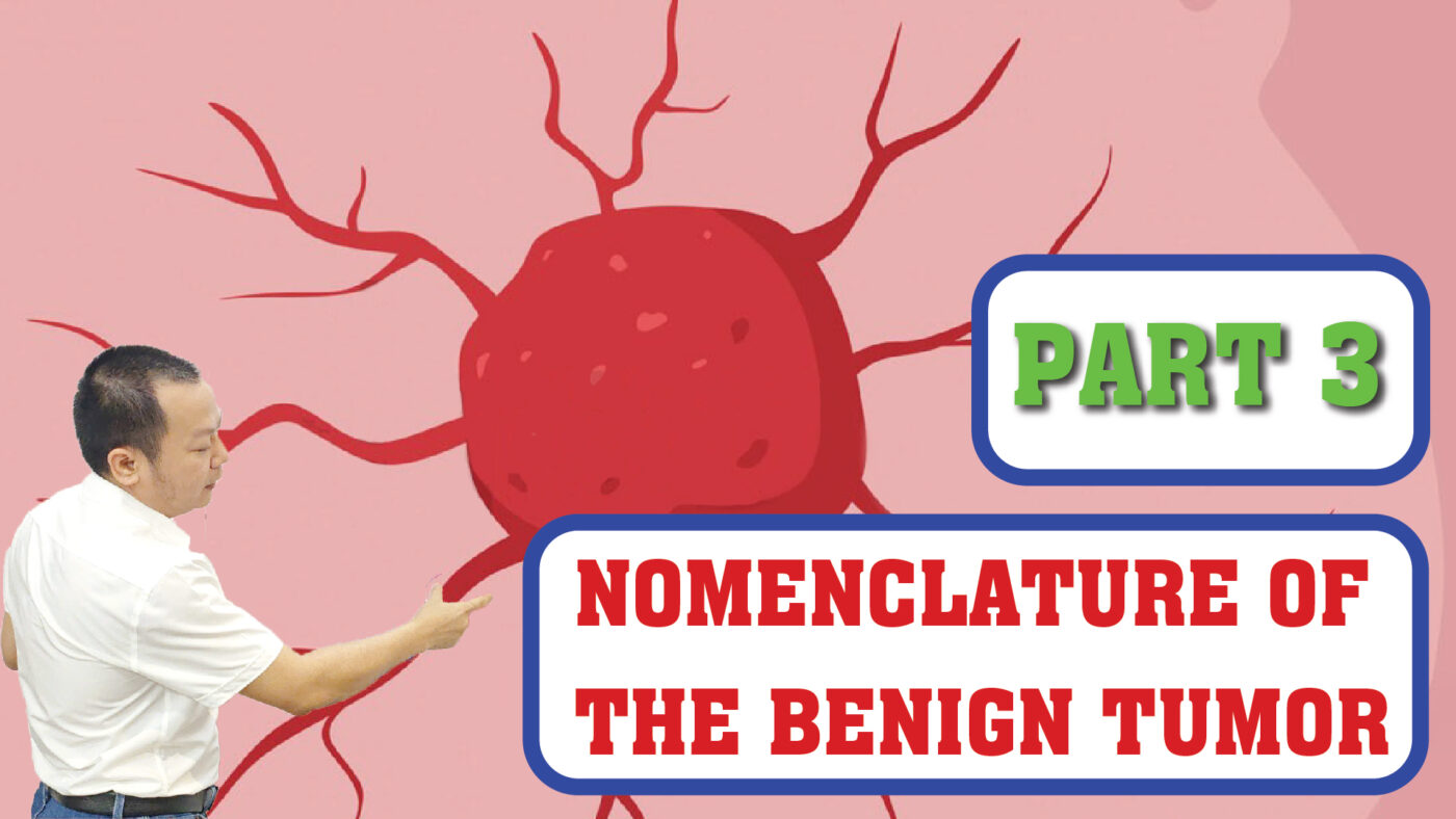 NOMENCLATURE OF THE BENIGN TUMOR PART 3 01